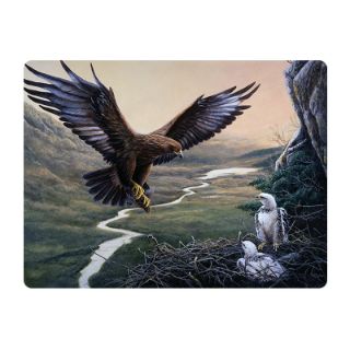 Obrázek z Pohlednice 3D 16cm -orel  (25) 